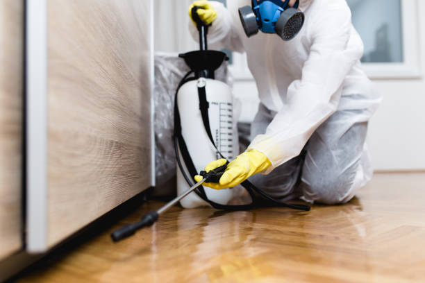 Best Pest Control Near Me  in Dentsville, SC