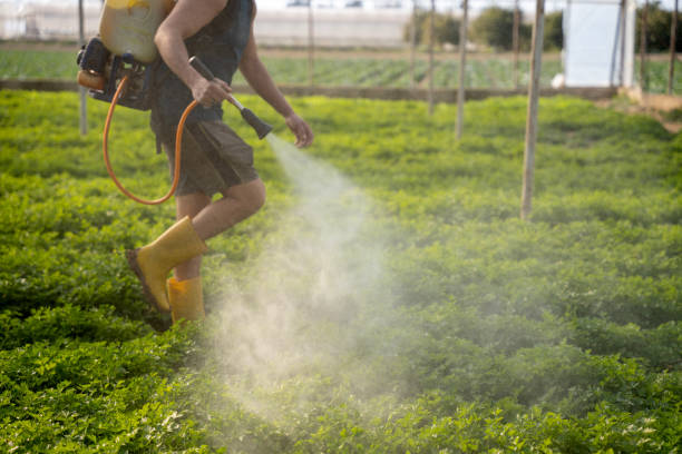 Best Best Pest Control Companies  in Dentsville, SC